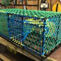 Extra picture for advert 108118