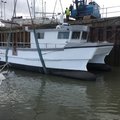 Extra picture for advert 102718